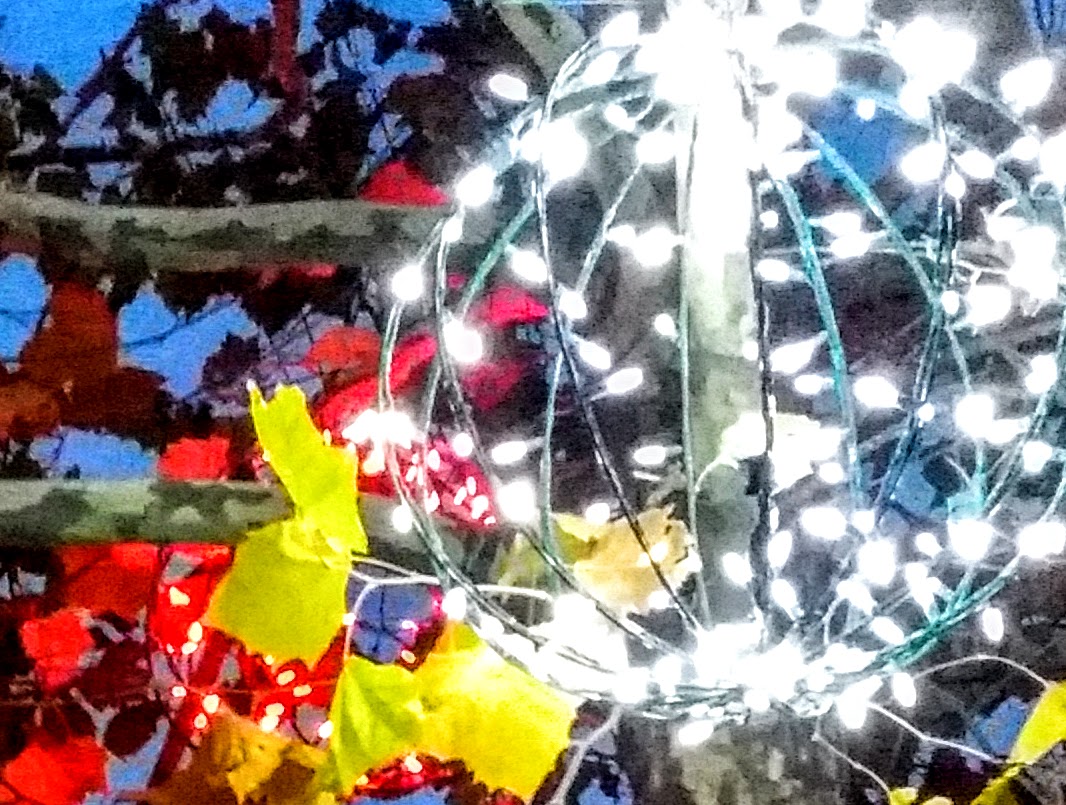 20151128_175215 (3).jpg