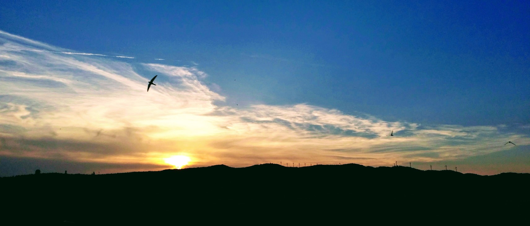 20170620_212009-1 (1).jpg