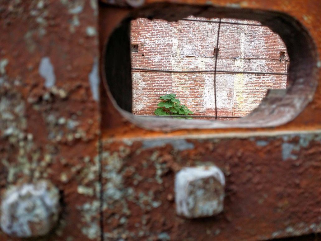 20160827_110359 (1) (1).jpg