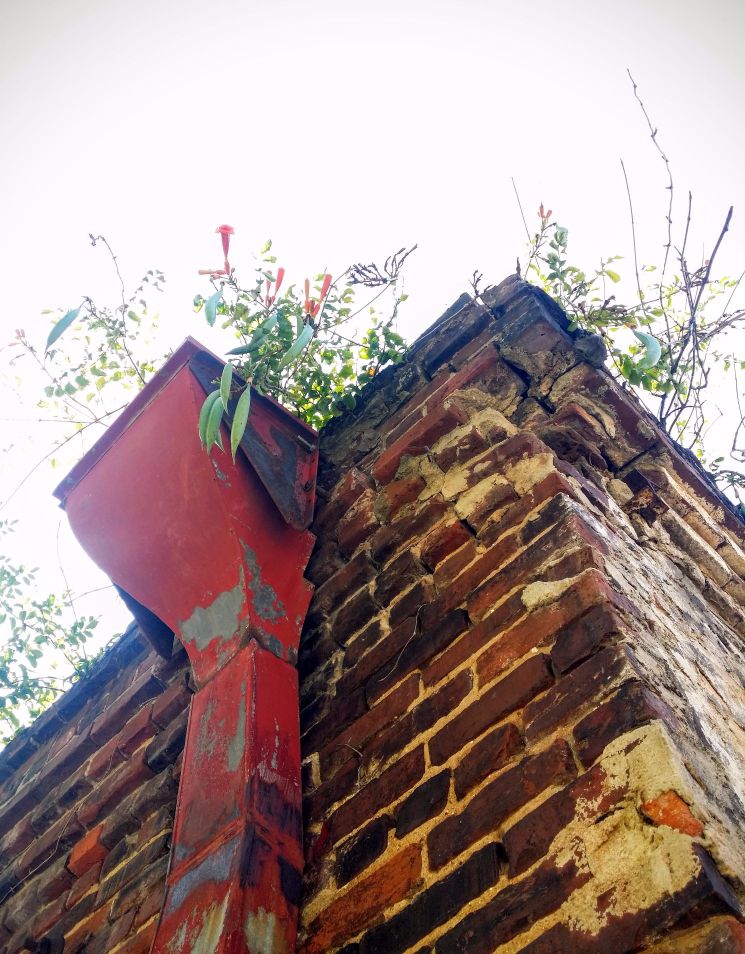 20160827_101010 (1) (1).jpg