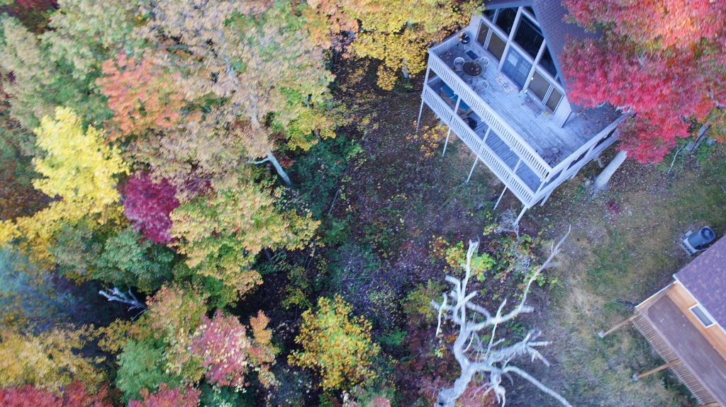 DSC00227 (1024x575).jpg