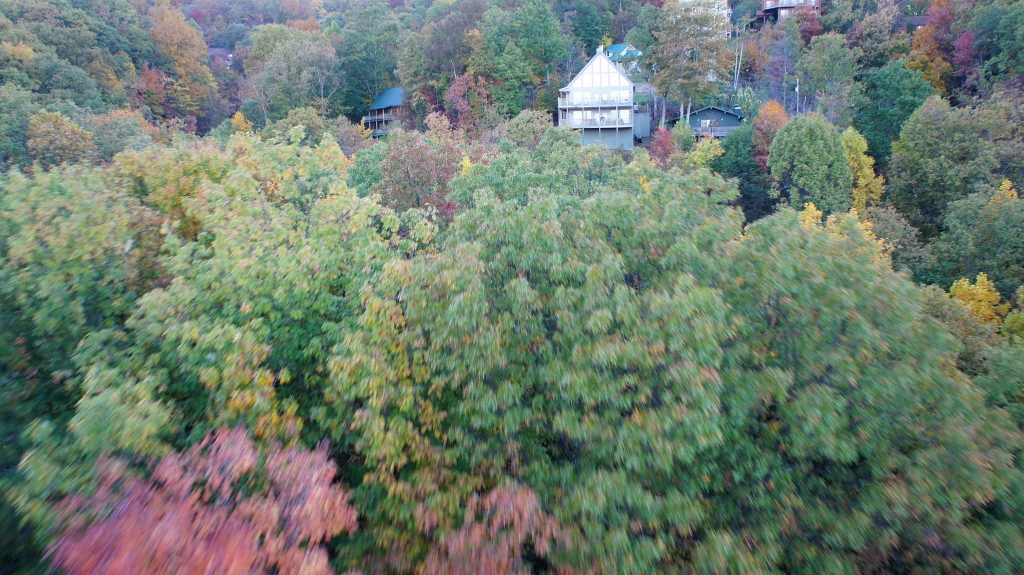 DSC00232 (1024x575).jpg