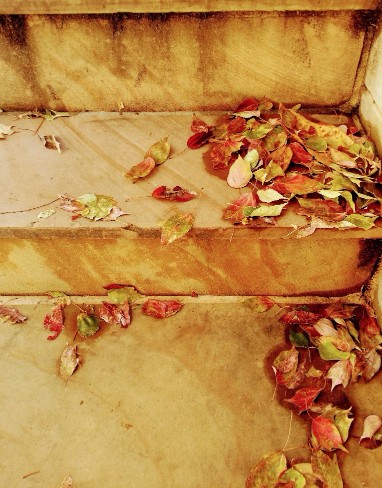 20161118_132416 (1) (1) (2).jpg