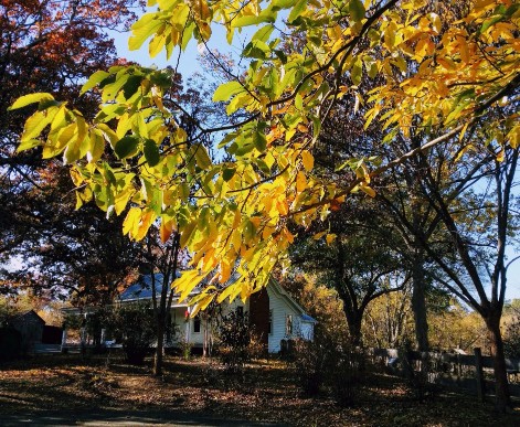 20161119_151538 (1) (1) (1).jpg