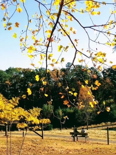 20161119_151736 (1) (1) (1).jpg