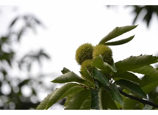 ry%3D400.jpg : 기다림....