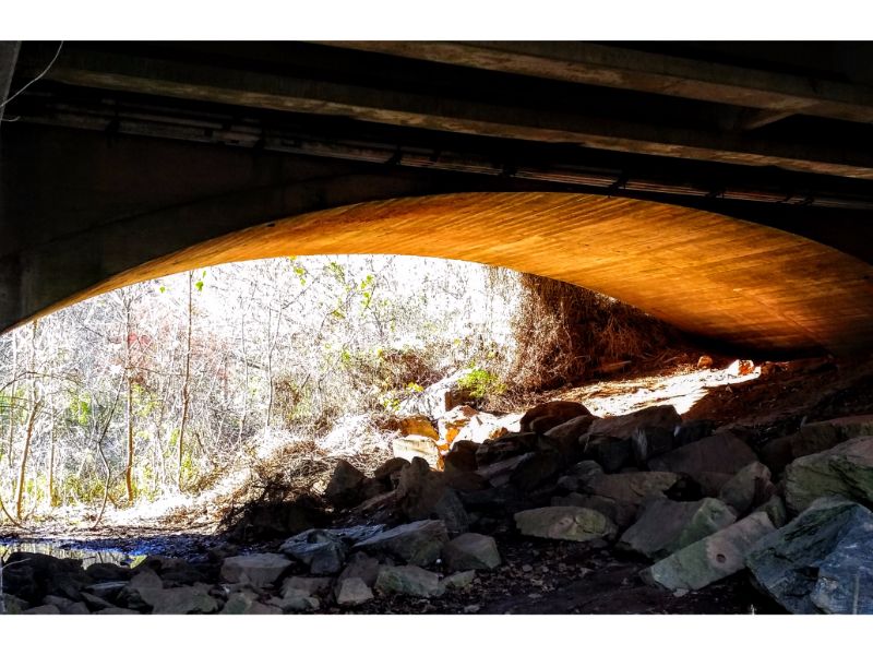 20151204_150821 (1).jpg