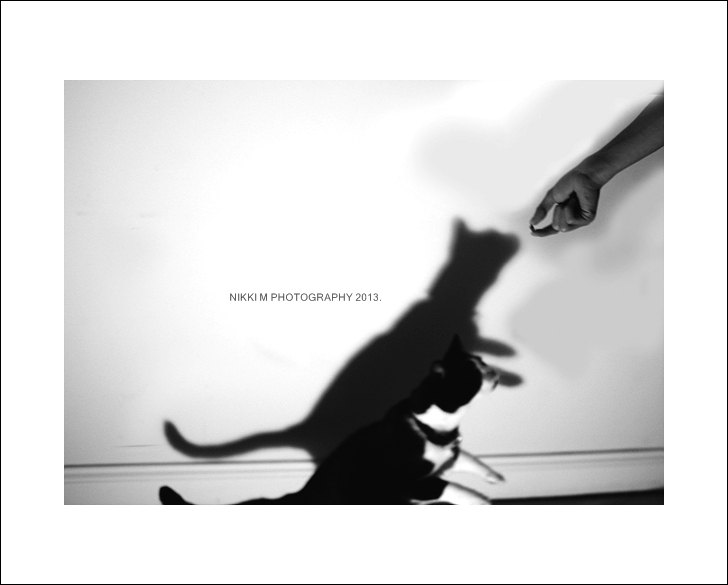 IMG_0821v copy copy.jpg