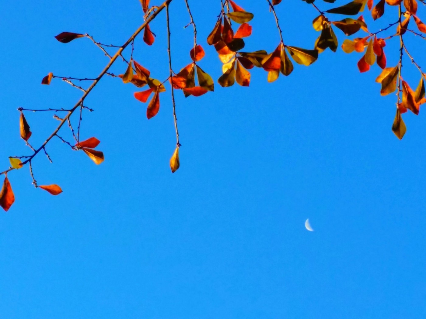 20151204_075257 (1) (1).jpg