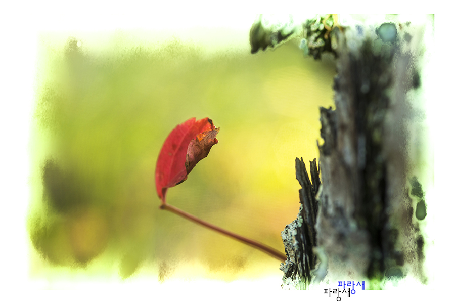 _DSC2791_5726 copy (2).jpg