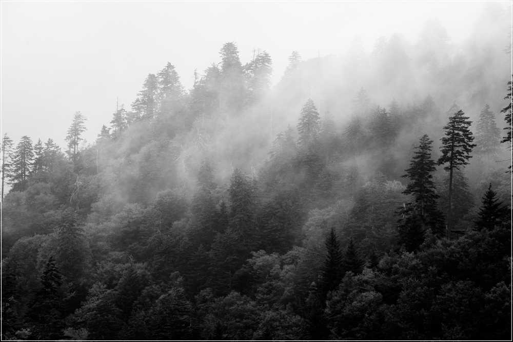 fog-clingmans-dom-5.jpg