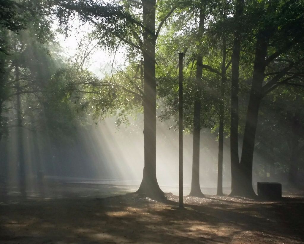 20150518_082638-1 (3) (1).jpg