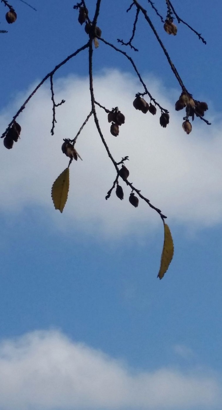 20151210_120950-1 (1).jpg