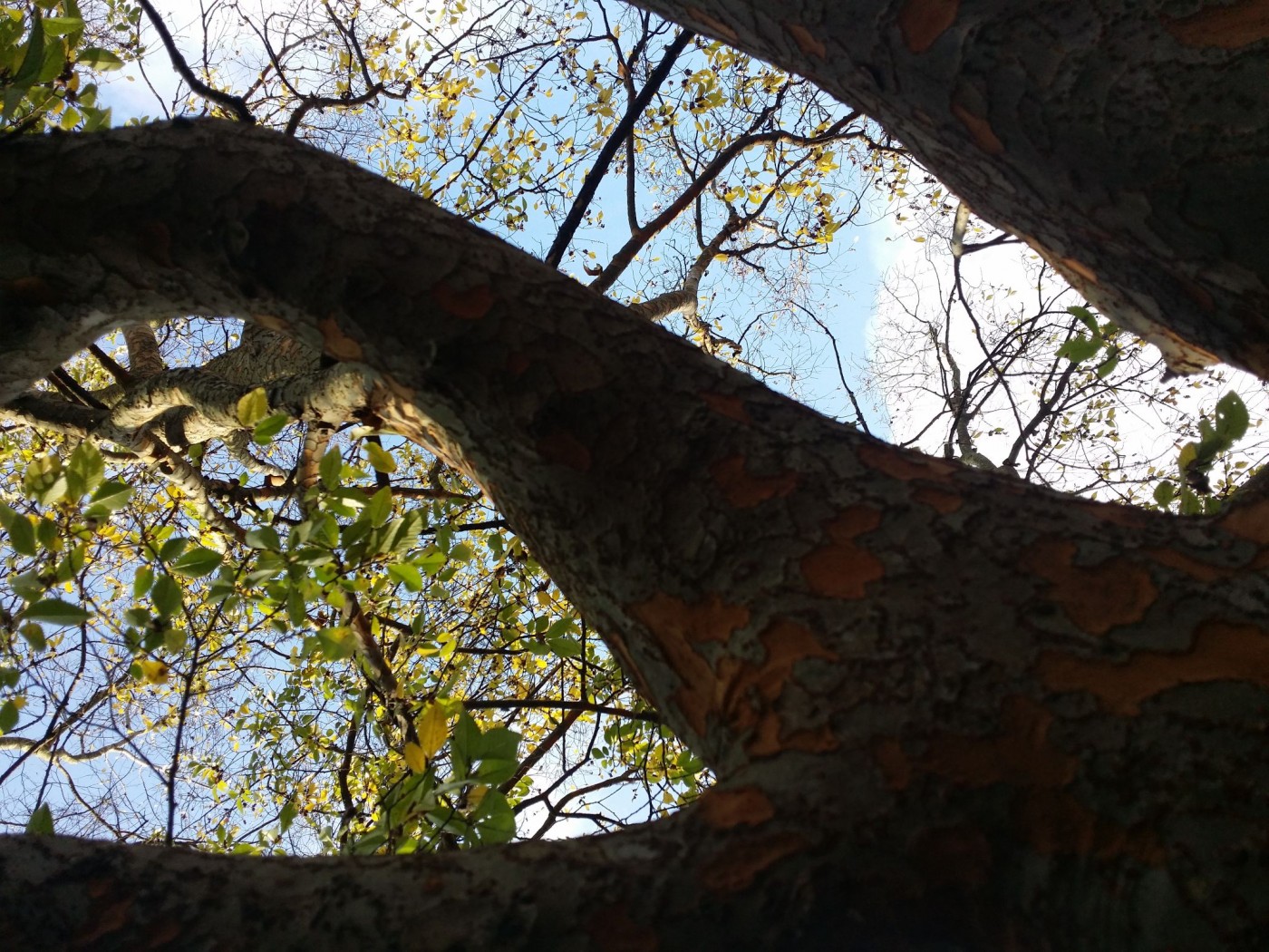 20151210_122224 (1) (1).jpg