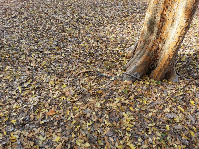 20151210_122110 (1) (1).jpg