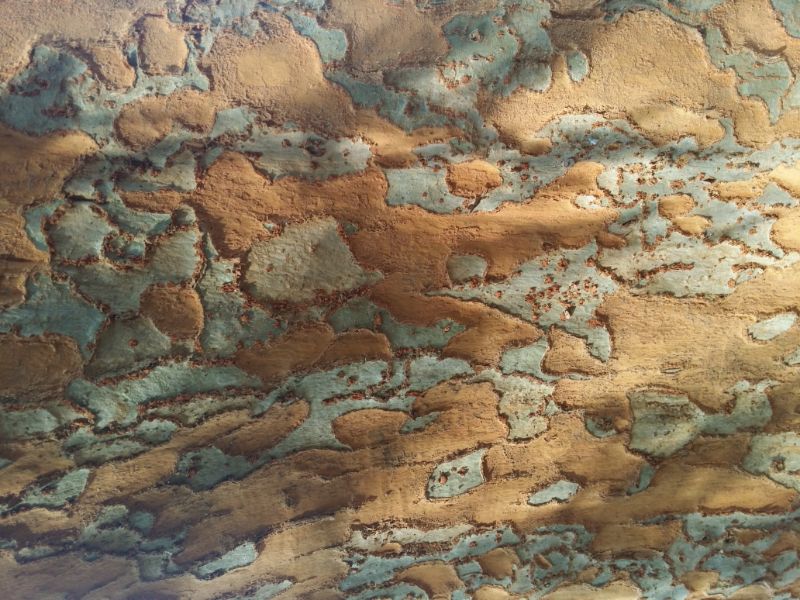 20151210_122136 (1).jpg