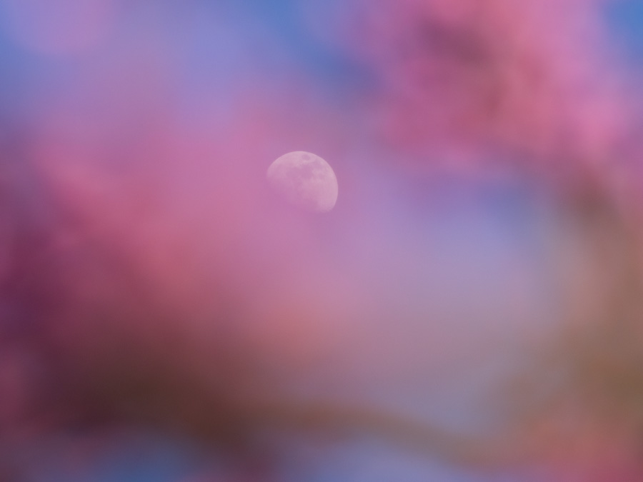 04-09 moon 03.jpg