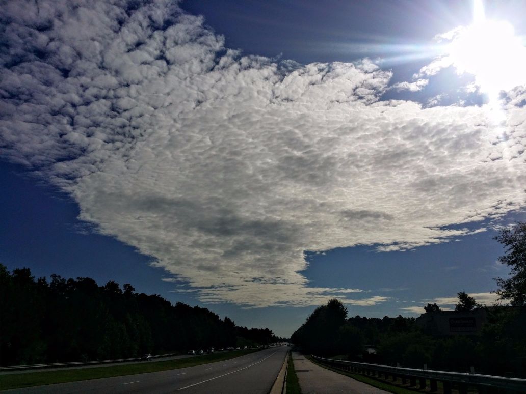 20160713_091912 (1) (1).jpg