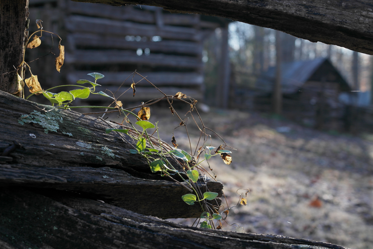 SAM_1843.jpg : 2013 년 첫 출사