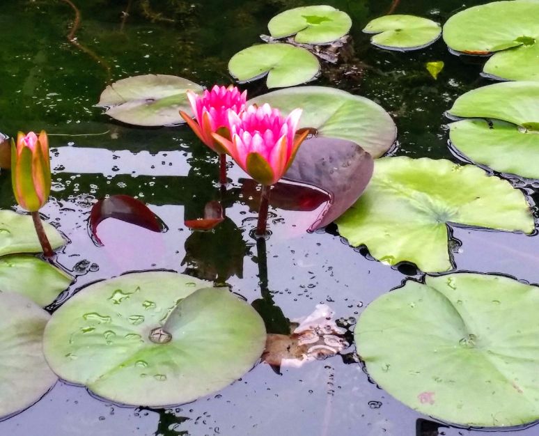 20160710_085147 (1) (1).jpg