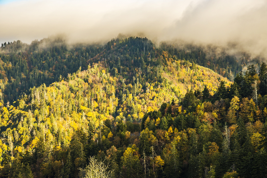 _DSC7587_0278 copy.jpg