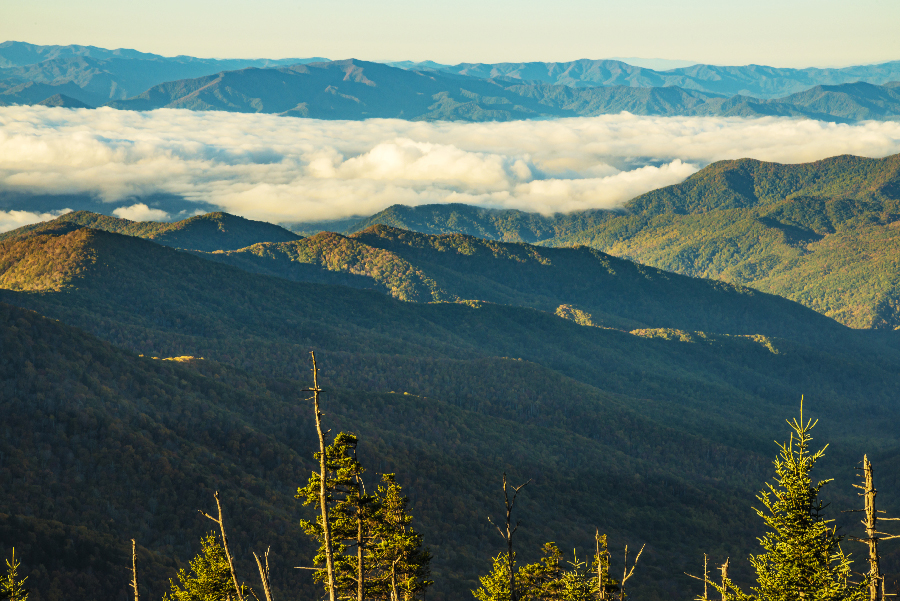 _DSC8250_1206 - Copy.JPG