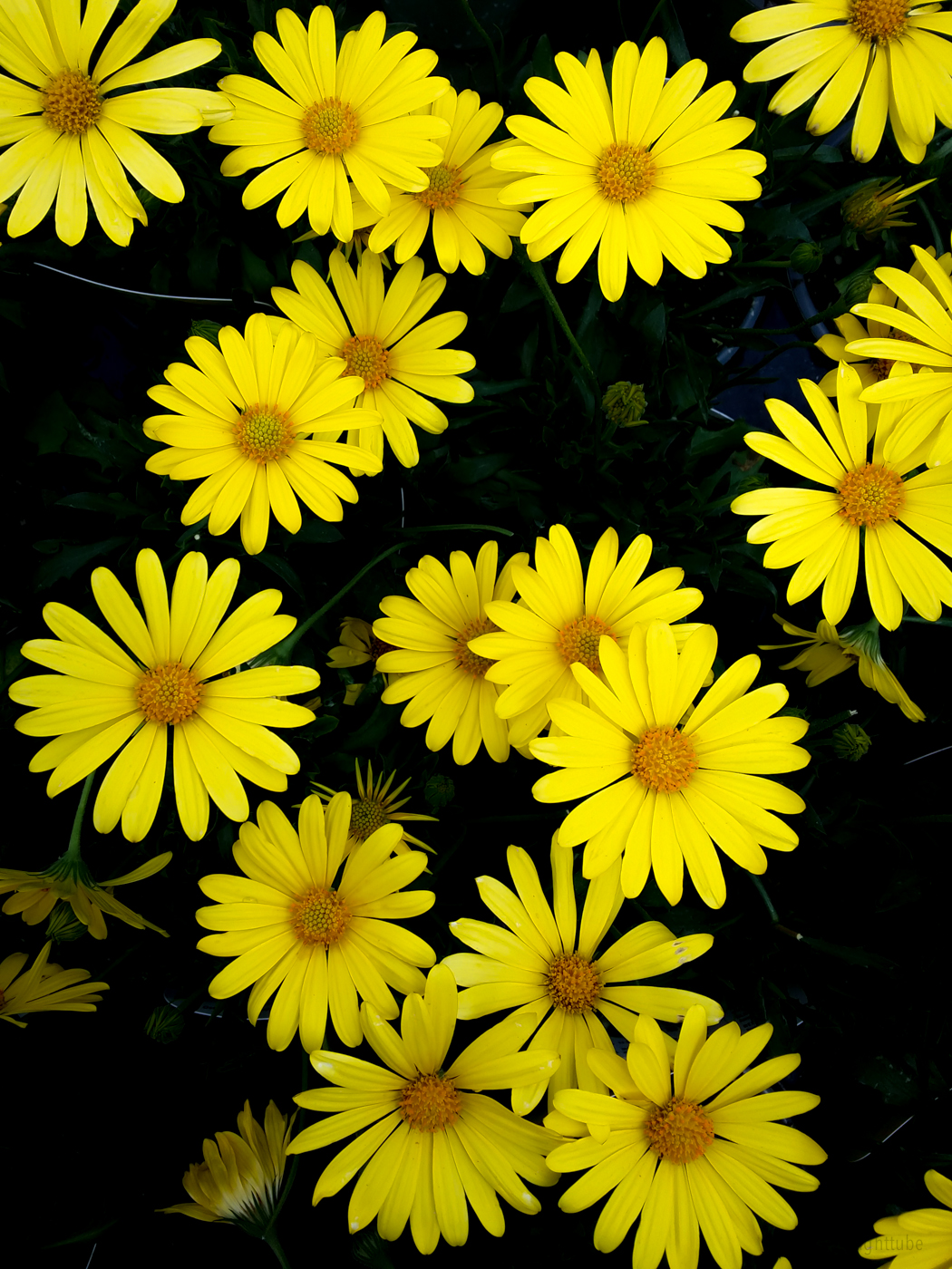 2014-03-09 13.22.46.jpg