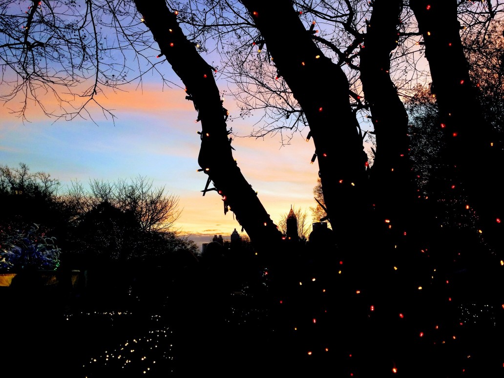 20161223_174510 (2) (1) (1).jpg