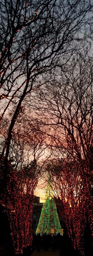 20161223_174814 (1) (1).jpg