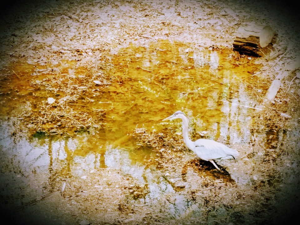 20170301_155618 (1).jpg