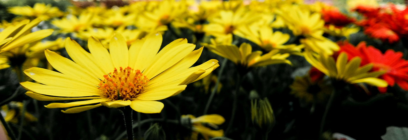 2014-03-09 13.24.07.jpg