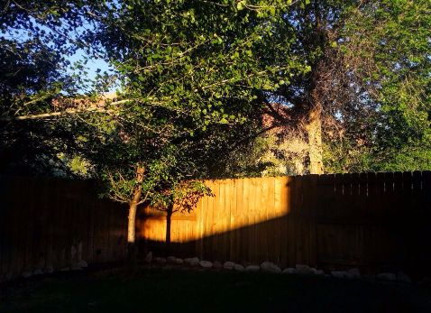 20160604_063836 (1) (1) (1).jpg