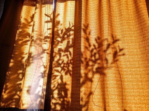 20160604_082305 (1) (1) (1).jpg