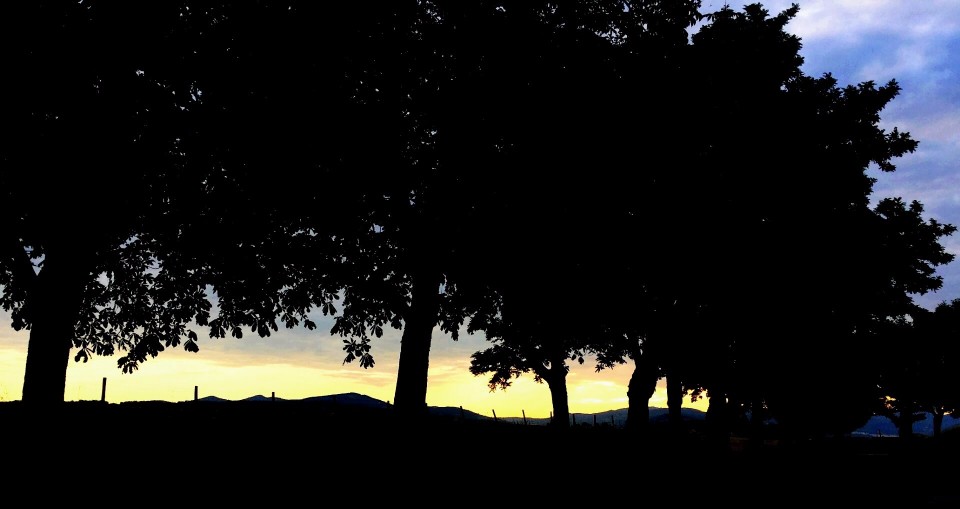 20170620_072655 (1).jpg