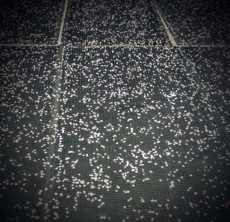 20160401_145555 (1) (1).jpg