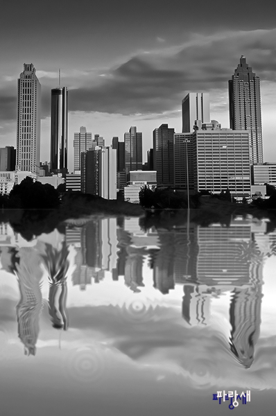 DSC03905 copy (2).jpg