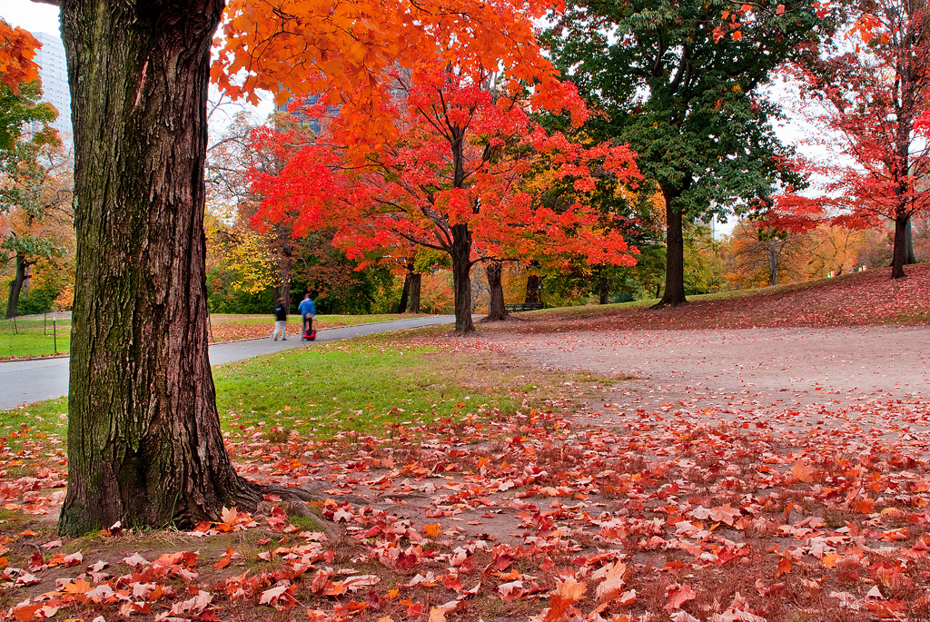 _DSF0070 copy cs5.JPG