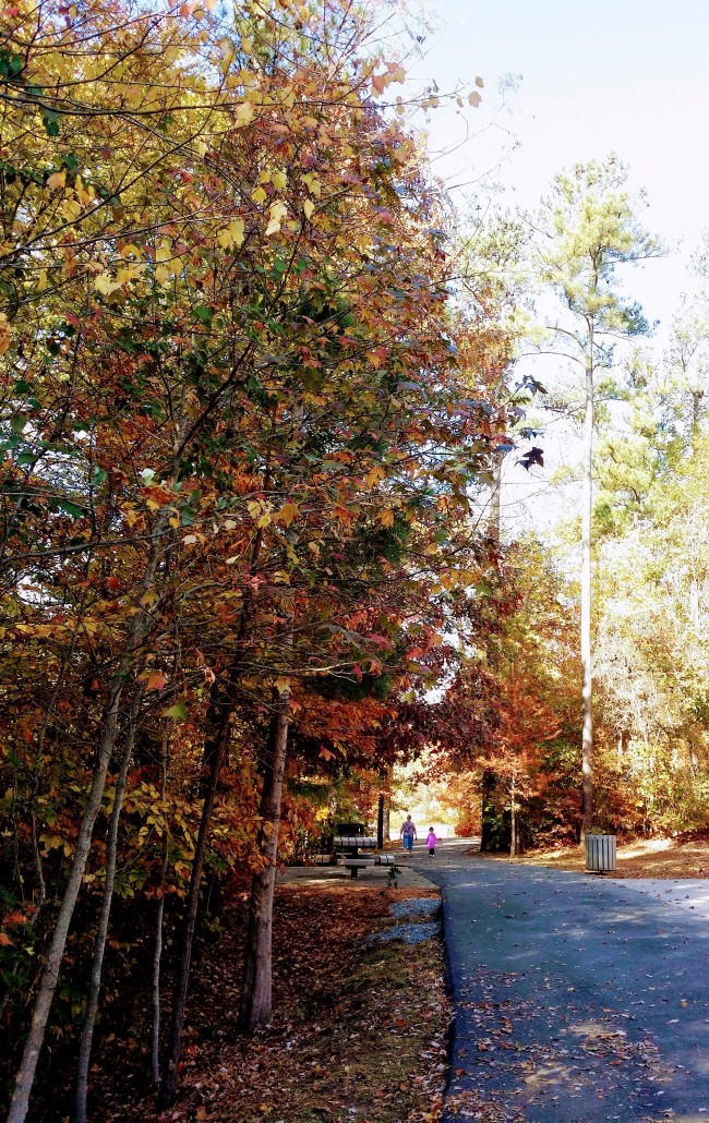 20161116_124302 (1) (1) (2).jpg