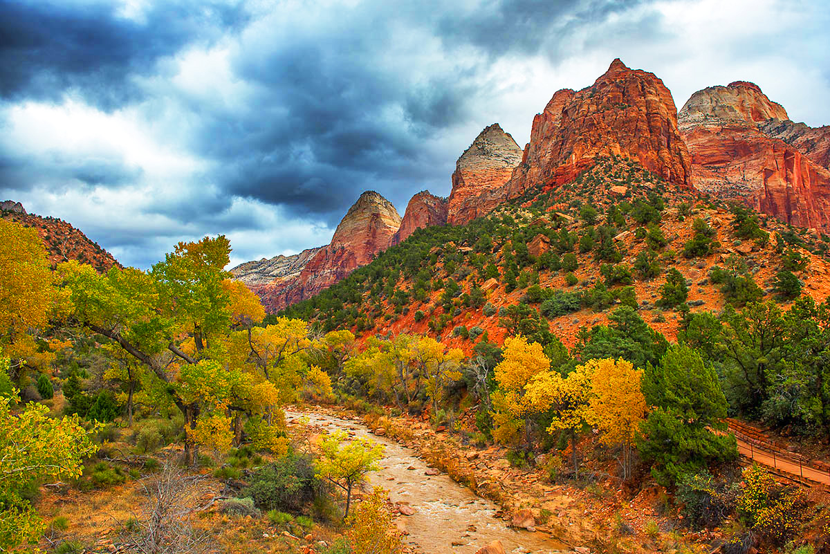 DSC_8530 복사 copy.jpg