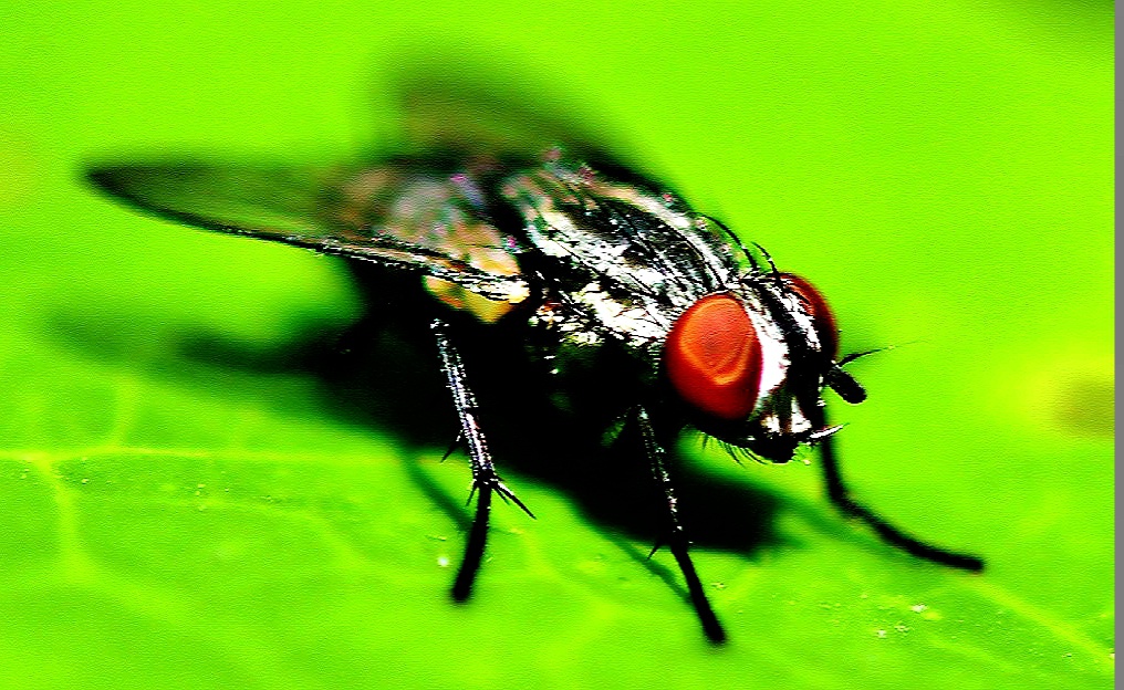 변경우리집 (8).jpg