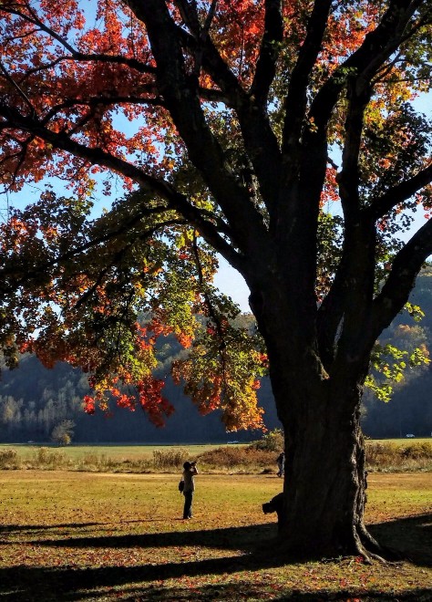 20161029_155749-1 (1) (1).jpg