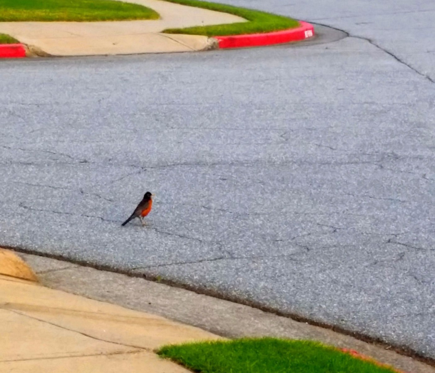 20160510_073818 (1).jpg