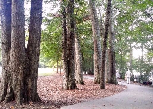 20160924_074158 (1) (1) (1) (1).jpg