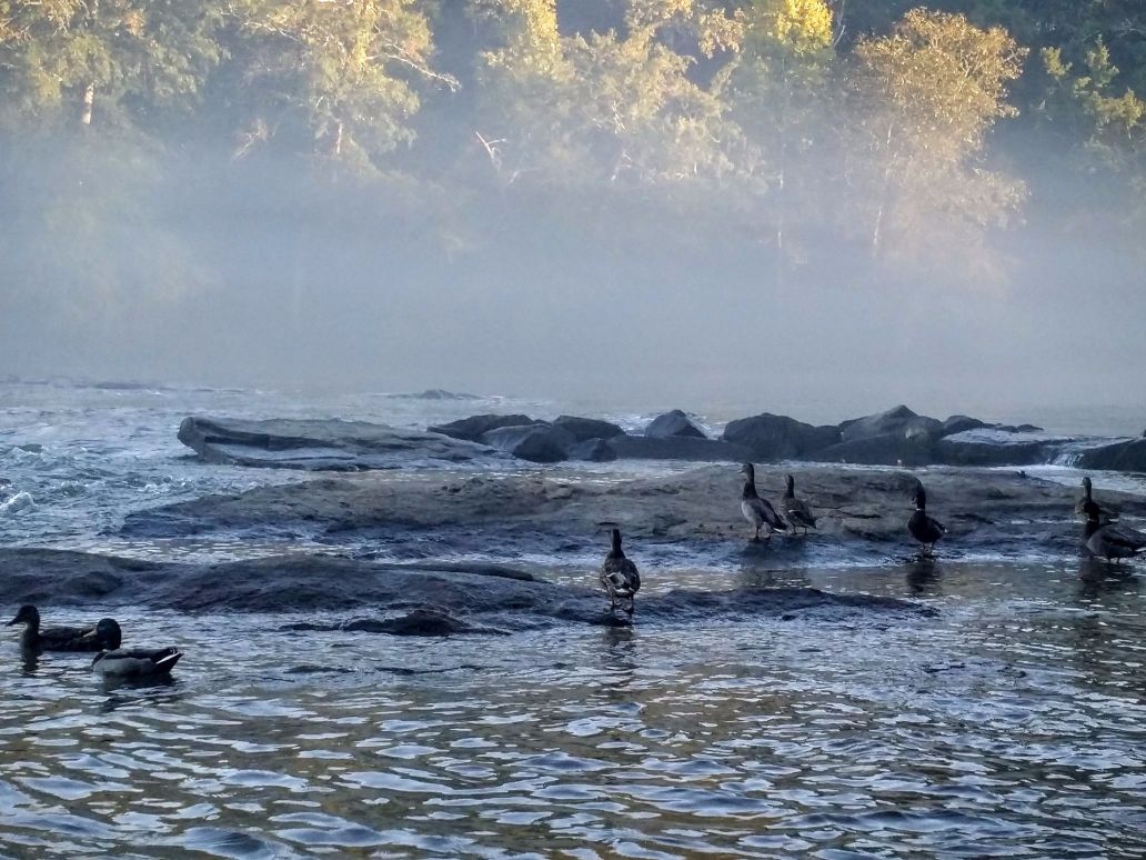 20160924_075606 (1) (1) (1).jpg