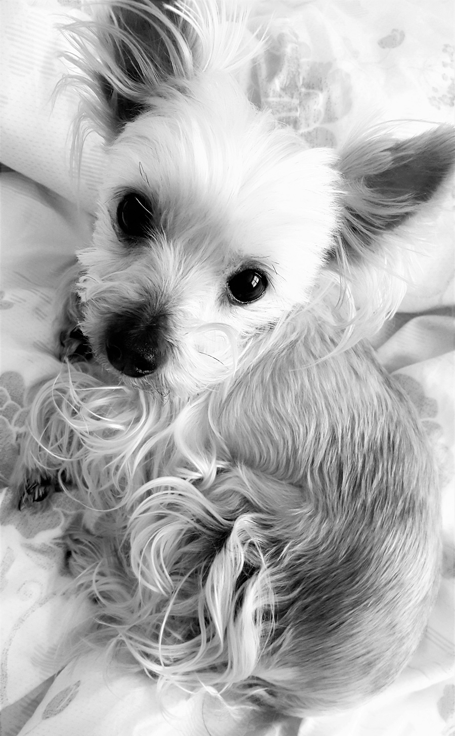 20160314_111129 (3).jpg