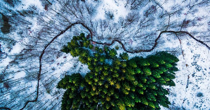 best-drone-photography-2016-dronestagram-contest-fb__700-png.jpg