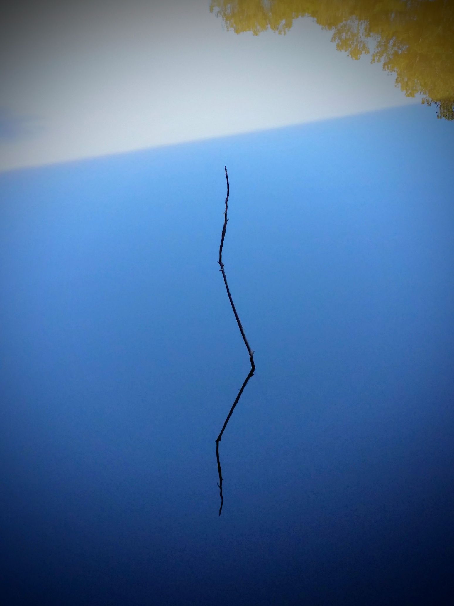 20160124_115222 (1).jpg