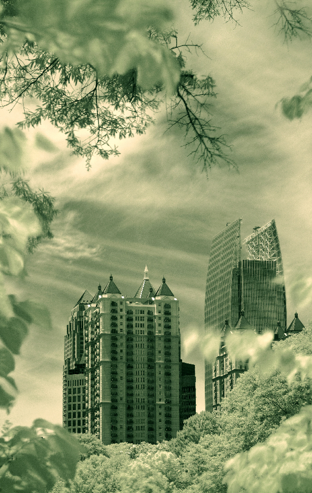 _DS03380 copy (2) copy.jpg