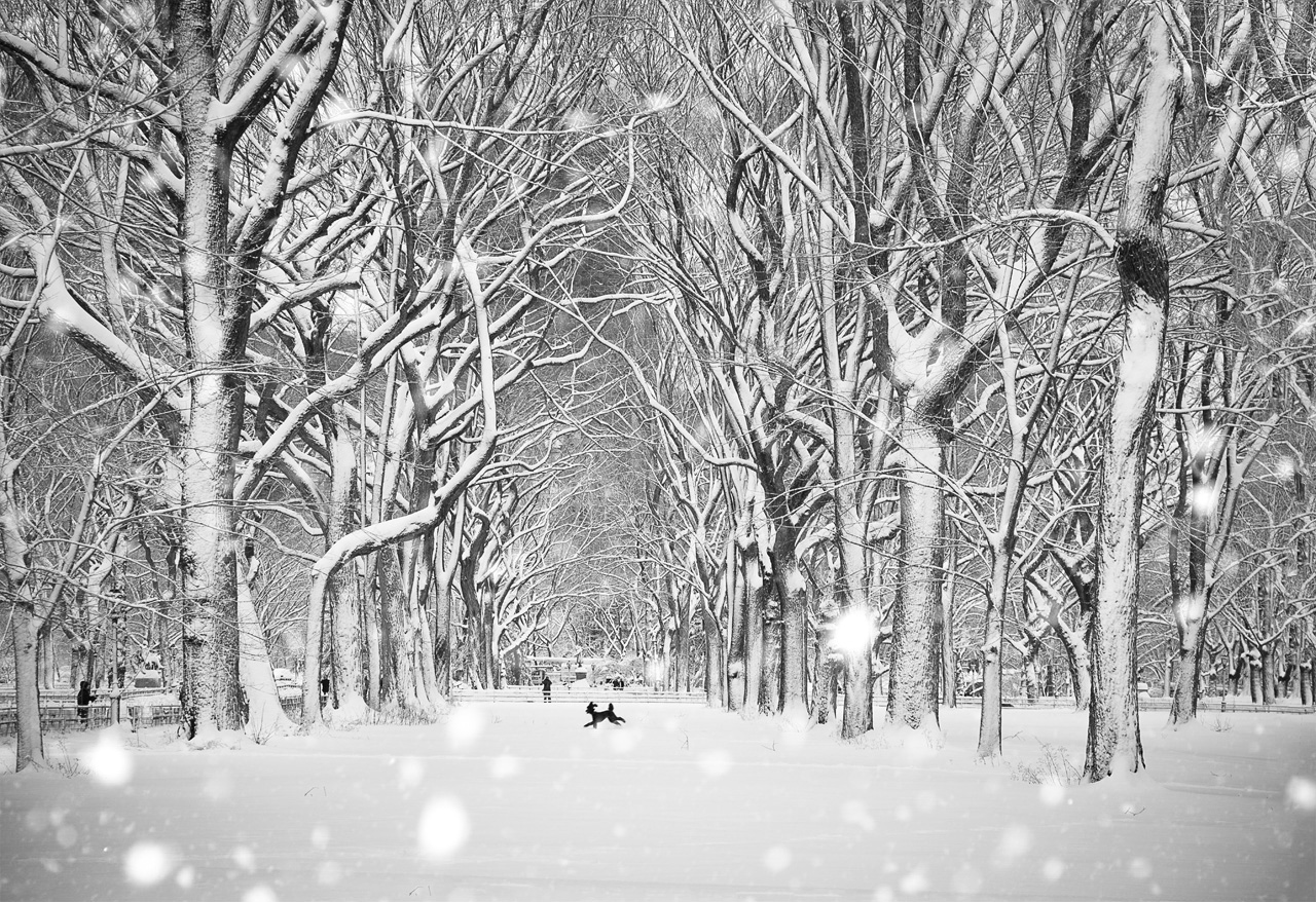 _DSC5775_2413 copy.jpg