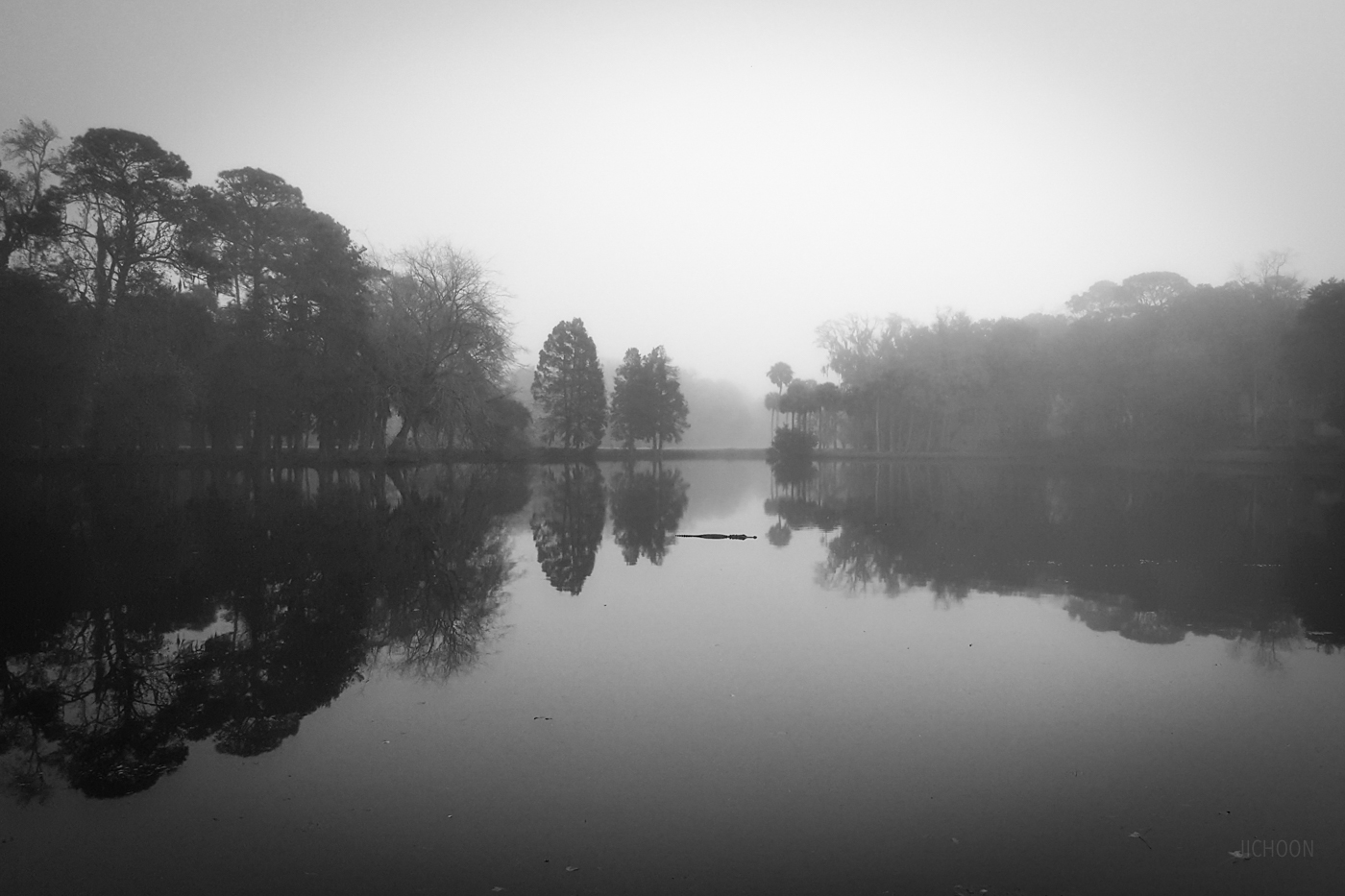 2015-12-26 10.31.28.jpg